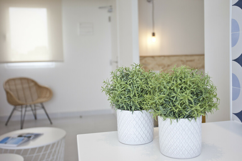 Apartamento Cala Morlanda Estudios