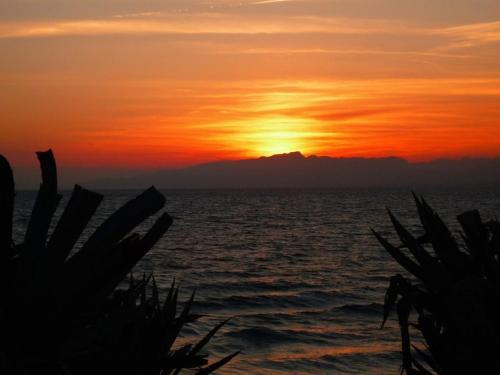 Apartment In Salou/costa Dorada 3969