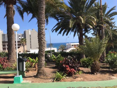 Apartamento Ocean Suite San Agustin