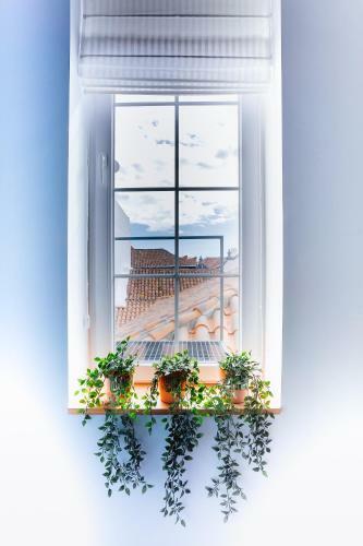 Suites & Apartments Calle Real