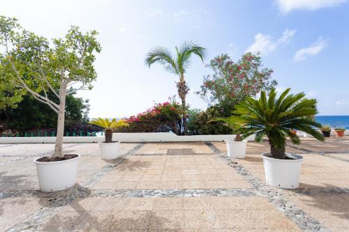 Apartamento Playa Gaviotas Beach