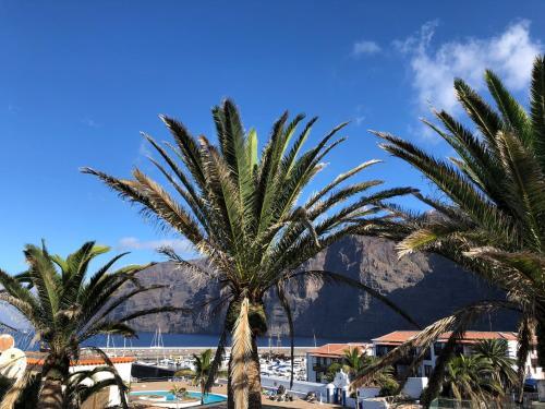 Apartamento House Oasis Raj