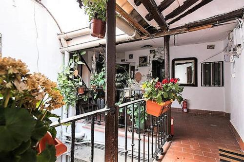 Apartamento Nativo Centro Sevilla 1