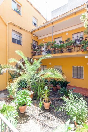 Apartamento Aparbel Castilla