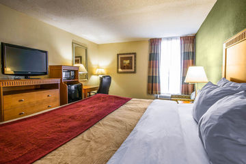 Hotel Comfort Inn Millennium