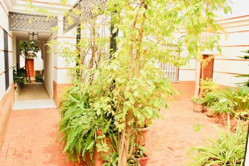 Apartamento Hiniesta Luxury Property