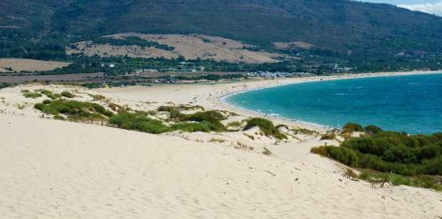 Kampaoh Paloma (tarifa)