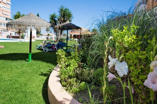 Apartamento Benalm�dena Estudio