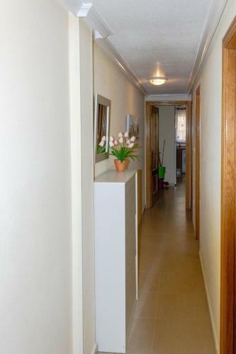 Apartamentos Imperator Torrevieja