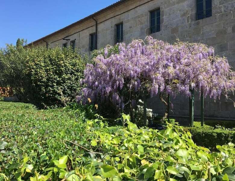 Albergue Convento Del Camino