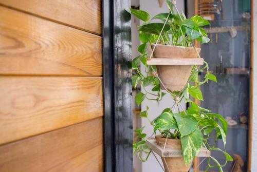 My Apartments - Atico Bolseria
