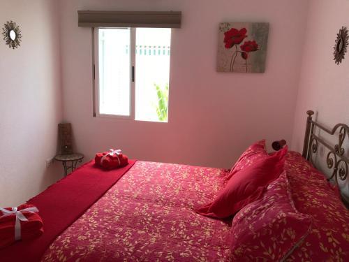 Apartamento Nueva Medina