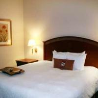 Hotel Hampton Inn & Suites Lafayette La