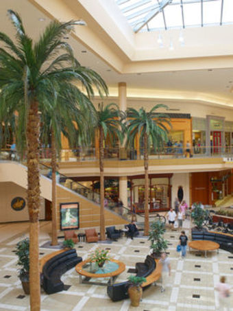 Hotel Doubletree By Hilton Tampa Air