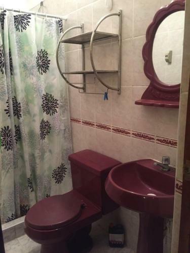Apartamento Departamento Los Sauces