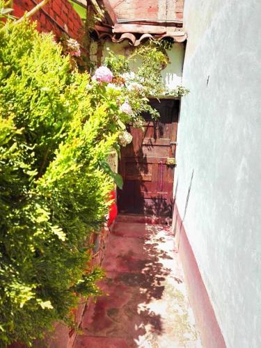 Hostal Cusco Central Hostel