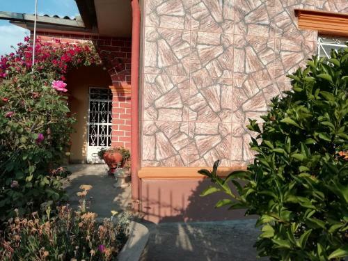 Bed & Breakfast Tere�s House