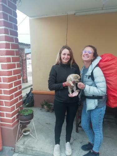 Bed & Breakfast Tere�s House
