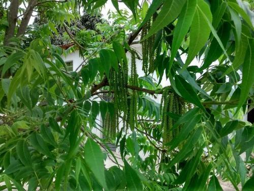 Rio Viejo Ecolodge & Camping
