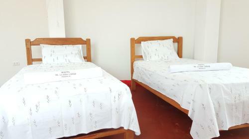 Albergue Mr. Llama Lodge