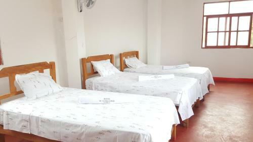 Albergue Mr. Llama Lodge