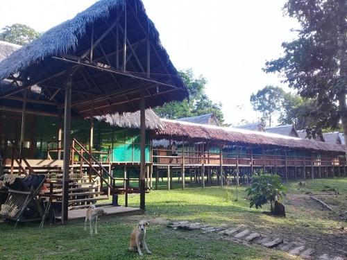Albergue Yanayacu River Lodge
