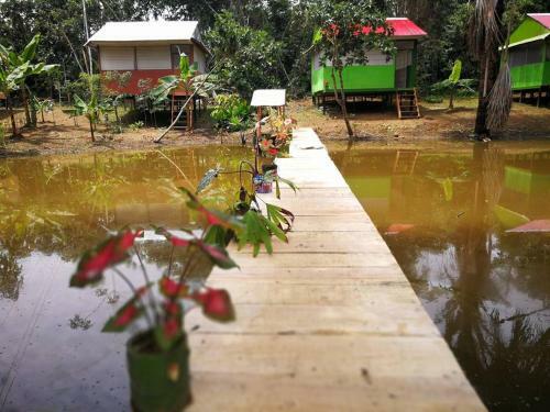 Lodge Friends Of The Amazon Jungle