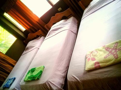 Albergue Ecoadventure Amazon Lodge