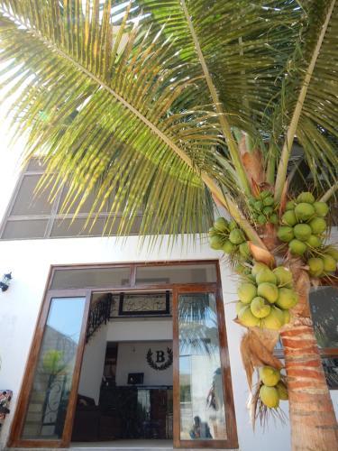 Hotel Burgu�s Mancora