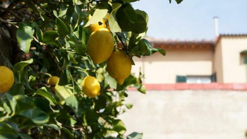 Borgo Largo 51 - Bed&breakfast