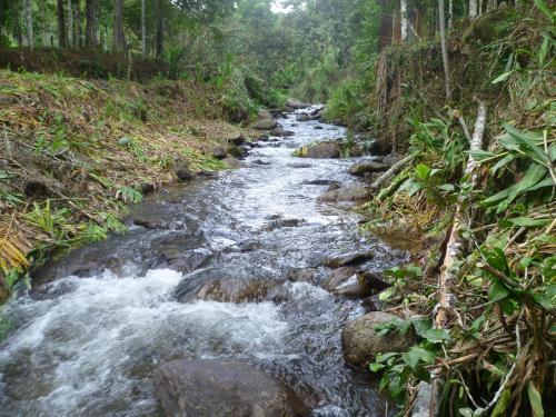 Lodge Hospedaje Campos El�seos