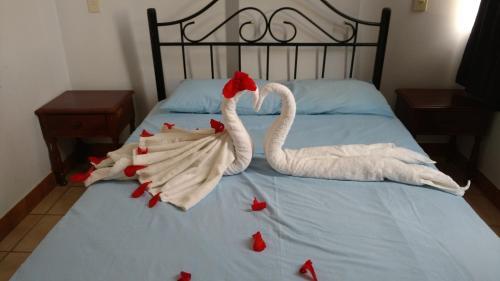 Hotel Conafovicer Piura