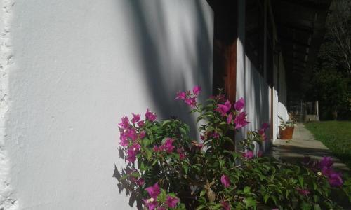 Agroturismo El Cacaotal