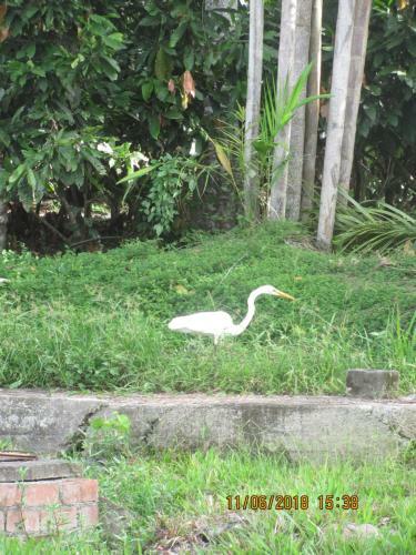 Agroturismo El Cacaotal