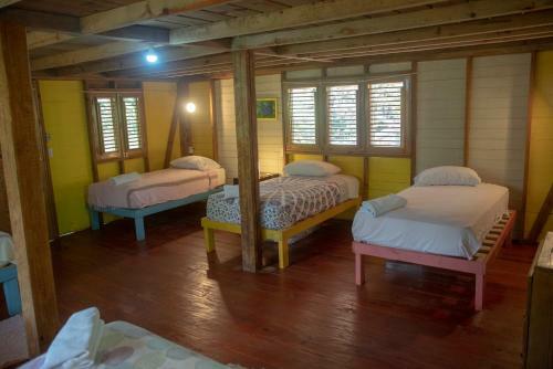 Bed & Breakfast Aventura Rincon Ecolodge
