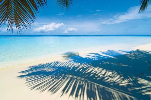Hostal Le Bdm