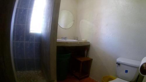 Hostal La Junglita