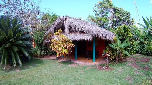 Hostal La Junglita