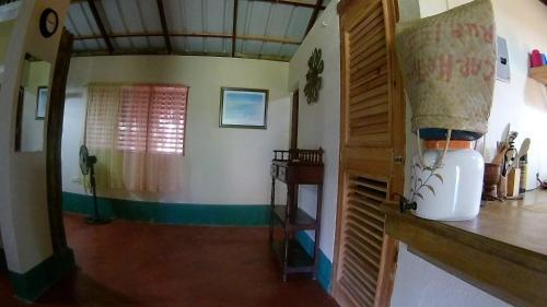 Hostal La Junglita