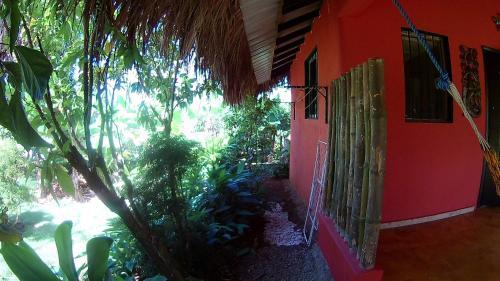 Hostal La Junglita