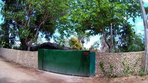 Hostal La Junglita