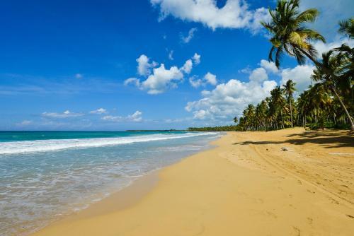 Apartamento Aligio Beachfront Paradise