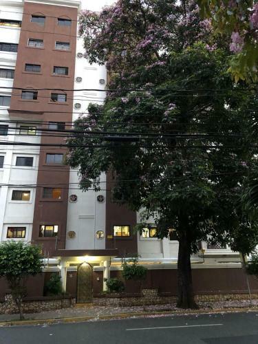 Apartamento Nest In The Sky-colonial Zone-ocean View