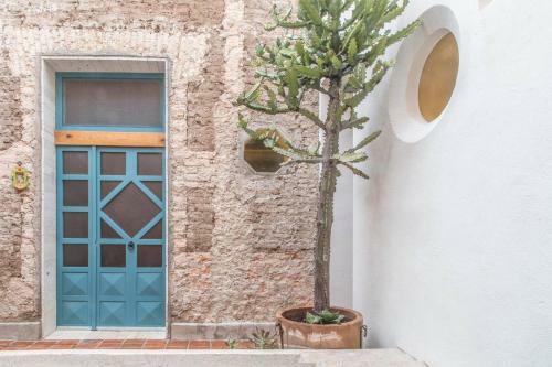 Apartamento Beautiful Studio 7, In Villa Calavera Casa Morelos