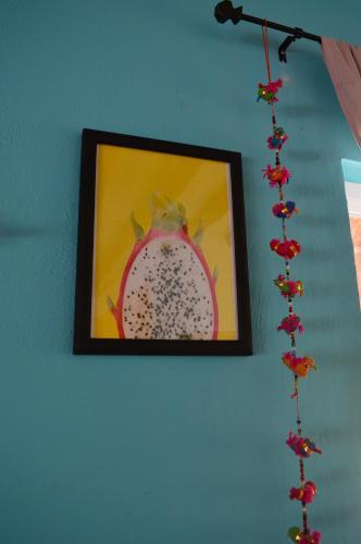 Apartamento Casa Mango