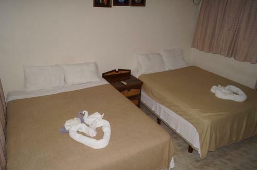 Chichis And Charlies Beachfront Hotel