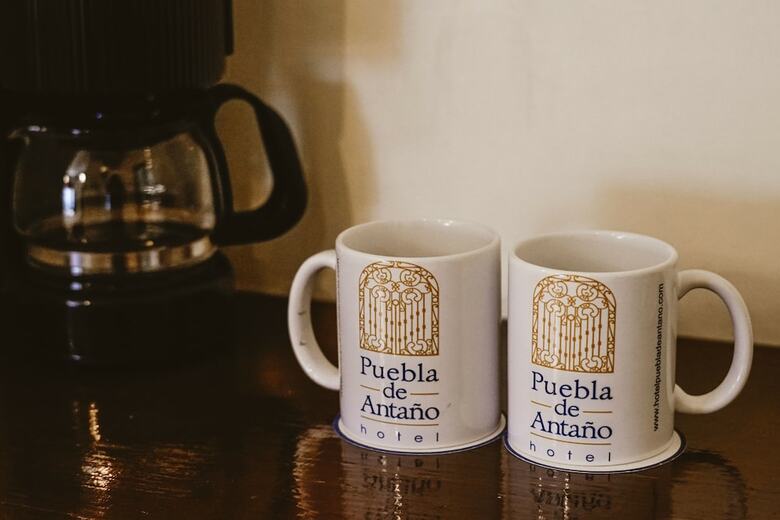 Hotel Puebla De Anta�o