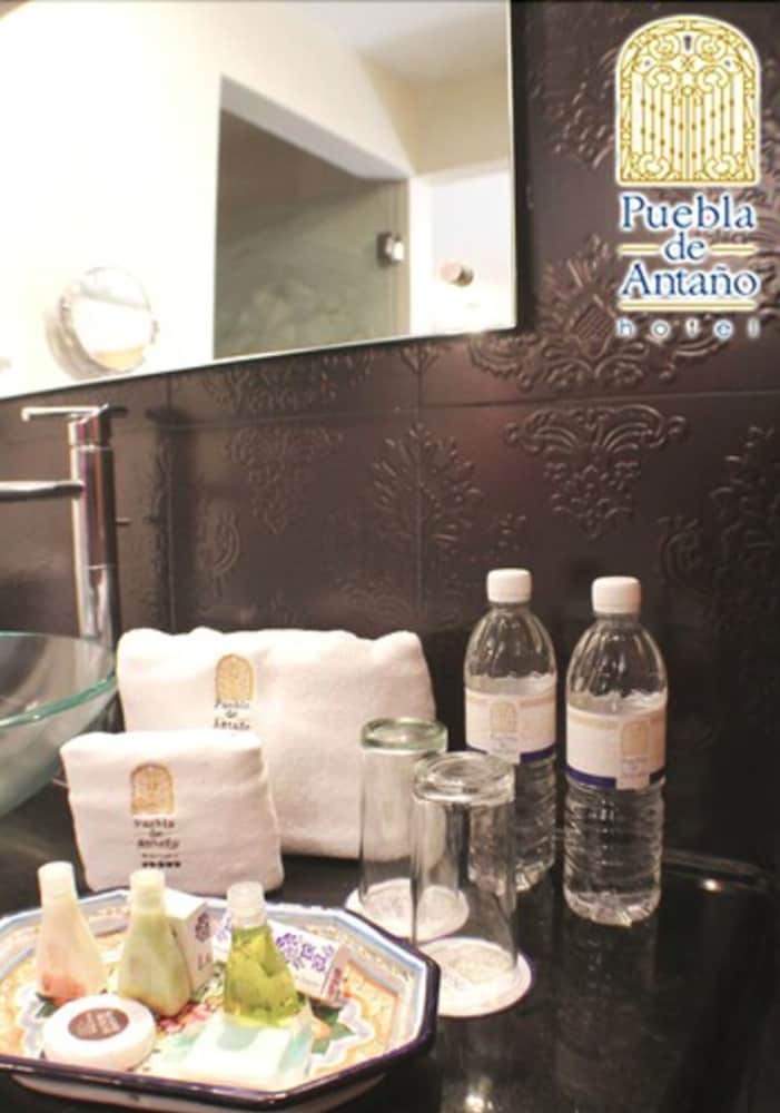 Hotel Puebla De Anta�o