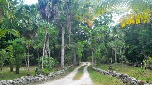 Lodge Drop By Nature Hotel - Ruta De Los Cenotes
