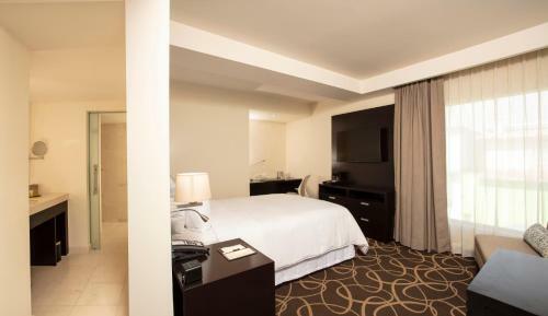 Hotel Doubletree By Hilton Toluca